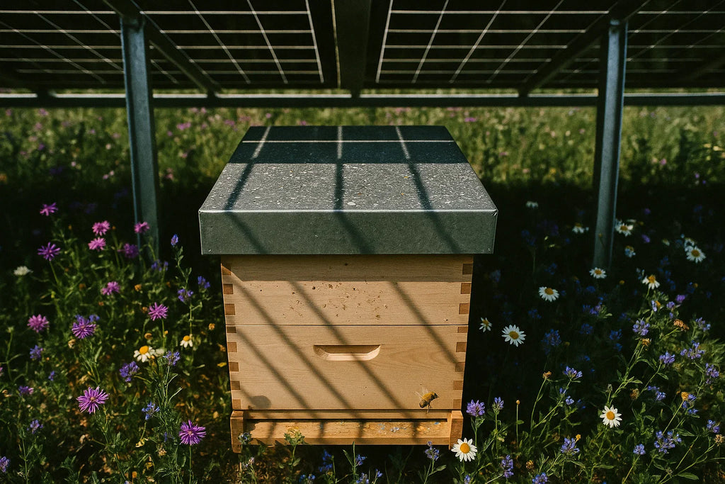Bienenstock unter Solarpanelen