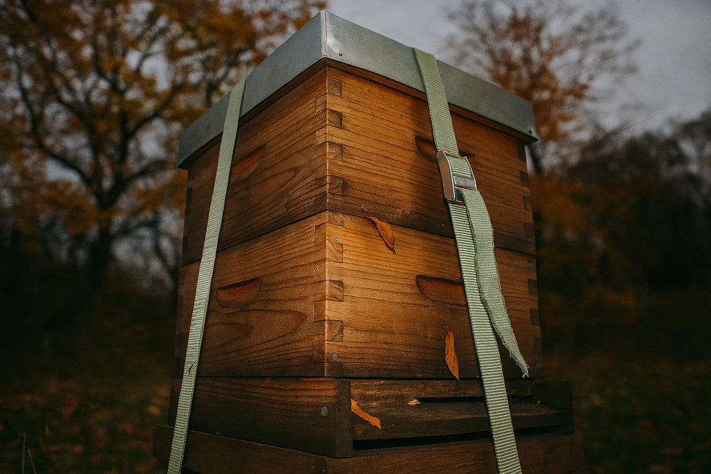 Bienenvölker vereinigen im Herbst