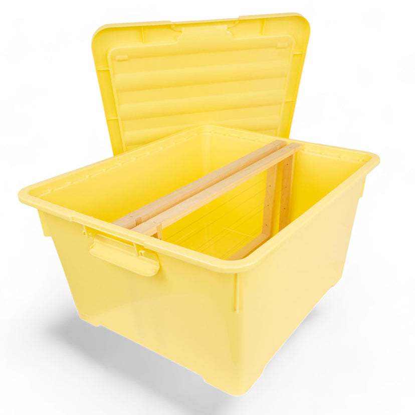 Transport- und Lagerbox für Rähmchen